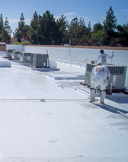 Commercial Roofing Project